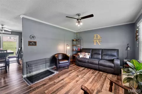 Living - 119 Tavy Dr, Jackson, MO 63755 photo 1 of 1
