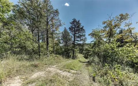 Other - 43 Acres - Ridge Rd, Dittmer, MO 63023 photo 3 of 10