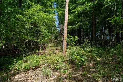 11 Acres - High St, Pacific, MO 63069 photo 14
