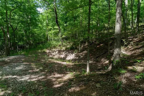 11 Acres - High St, Pacific, MO 63069 photo 16