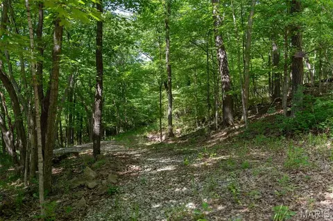 11 Acres - High St, Pacific, MO 63069 photo 15