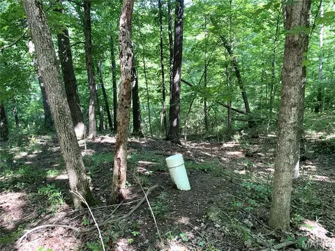 11 Acres - High St, Pacific, MO 63069 photo 23