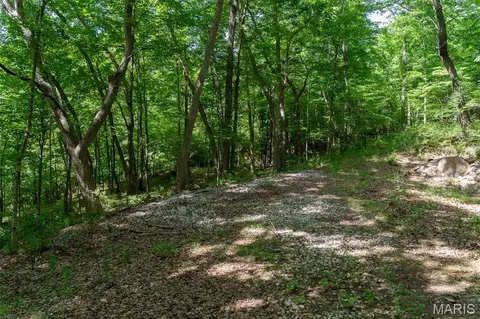 11 Acres - High St, Pacific, MO 63069 photo 17