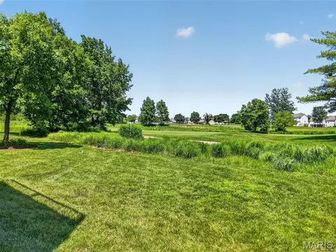 Exterior - 116 Timber Meadows Dr, O'fallon, MO 63368 photo 8 of 14