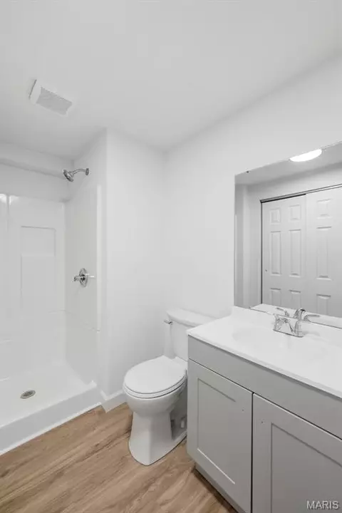 Bath - 156 Hogan Ave, Pacific, MO 63069 photo 3 of 3