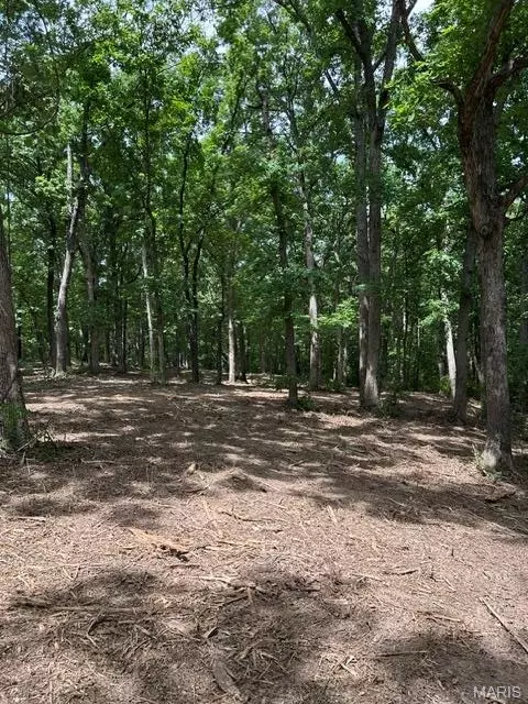 17 Hardwood Dr, Winfield, MO 63389