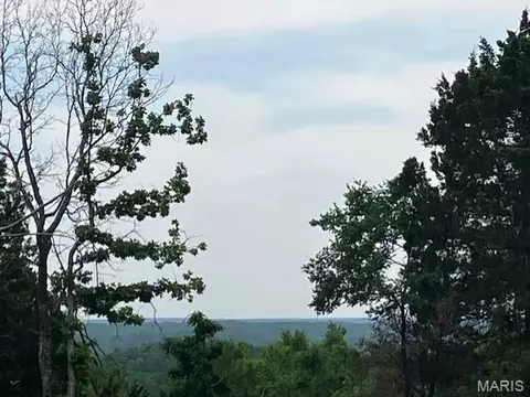230 Madison Cr 410, Fredericktown, MO 63645