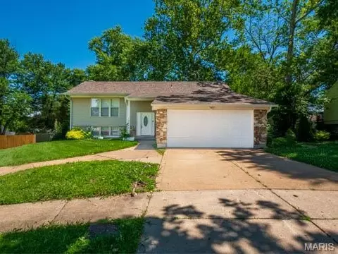 12258 Trailoaks Ct, Black Jack, MO 63033