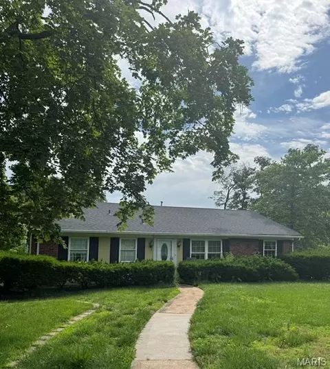928 S Gore Ave, Webster Groves, MO 63119