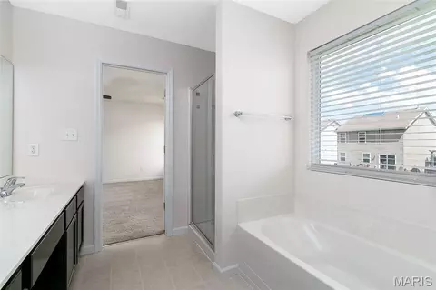Bath - 413 Spring Trce, O'fallon, MO 63368 photo 3 of 4