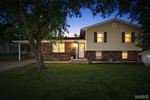 307 Cedar Dr, Potosi, MO 63664