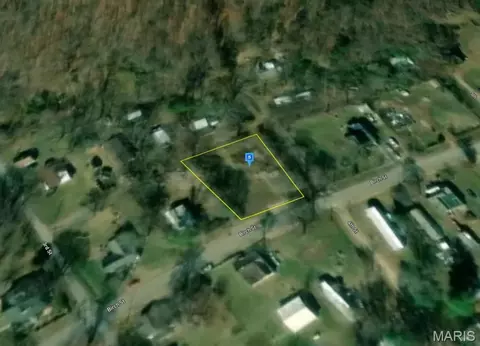 305 Birch St, Mill Spring, MO 63952 photo 3