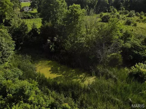 0 E Fairfield Rd, Bluford, IL 62814 photo 7