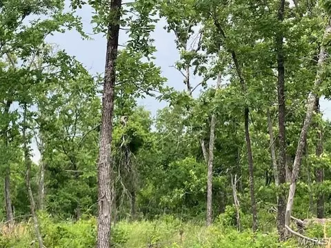 233 Madison Cr 410, Fredericktown, MO 63645