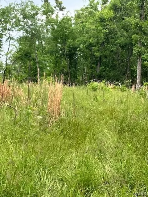 235 Madison Cr 410, Fredericktown, MO 63645