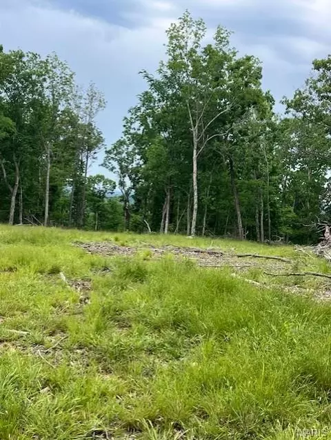237 Madison Cr 410, Fredericktown, MO 63645