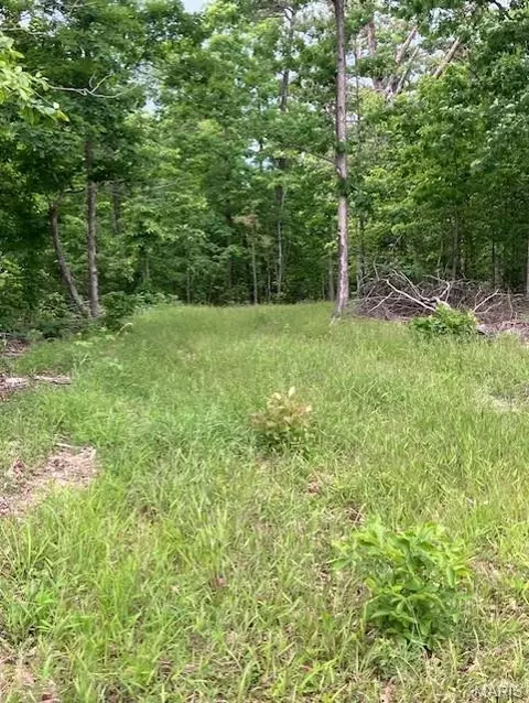 238 Madison Cr 410, Fredericktown, MO 63645