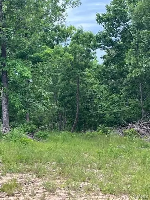 240 Madison Cr 410, Fredericktown, MO 63645
