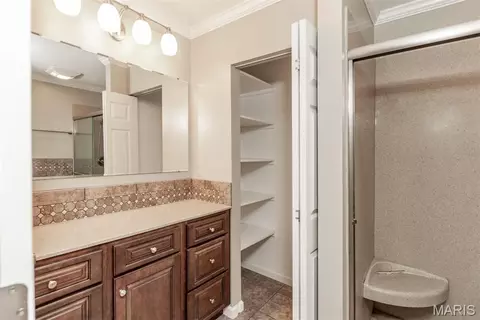 Bath - 11042 Wylestone Ct, Sappington, MO 63126 photo 2 of 4