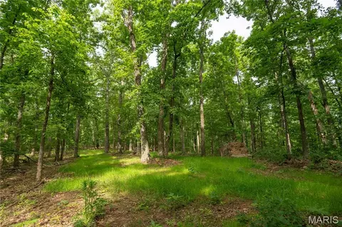 tbd Wayne, Piedmont, MO 63957