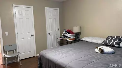 Other - 707 Moore St, Dexter, MO 63841 photo 6 of 10