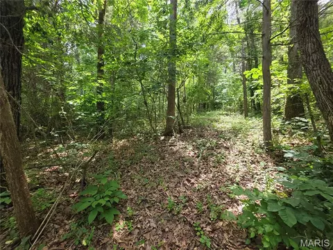 0 S Lake Shore Dr, Hillsboro, MO 63050
