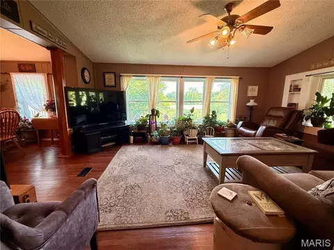 Living - 16528 Conrad Rd, Brighton, IL 62012 photo 2 of 3