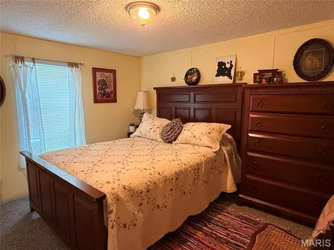 Bedroom - 16528 Conrad Rd, Brighton, IL 62012 photo 2 of 4