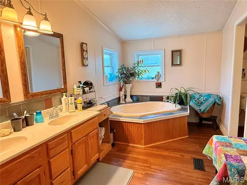 Bath - 16528 Conrad Rd, Brighton, IL 62012 photo 3 of 5