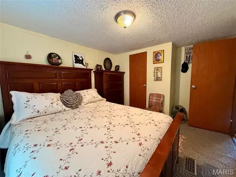 Bedroom - 16528 Conrad Rd, Brighton, IL 62012 photo 3 of 4