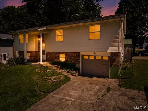 1307 E Chestnut St, Desloge, MO 63601