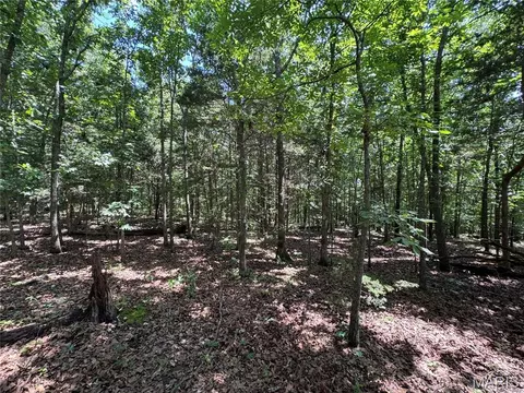 tbd Hooiser Rd, Dixon, MO 65459 photo 3
