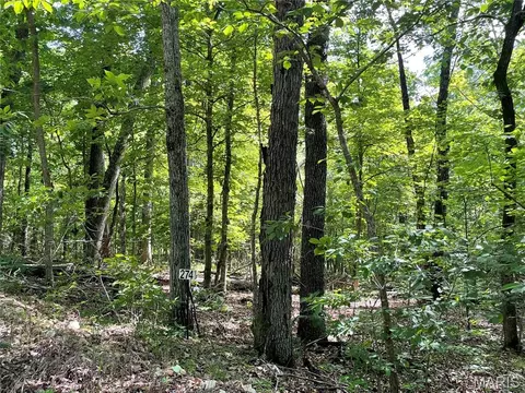 274 Oak Ridge Rd, Bourbon, MO 65441 photo 3