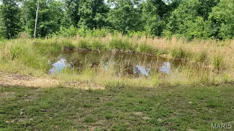 Other - 11721 Highway K, Jadwin, MO 65501 photo 15 of 32