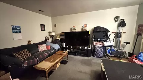 Other - 3912-3914 Wright Ave, Saint Ann, MO 63074 photo 19 of 21