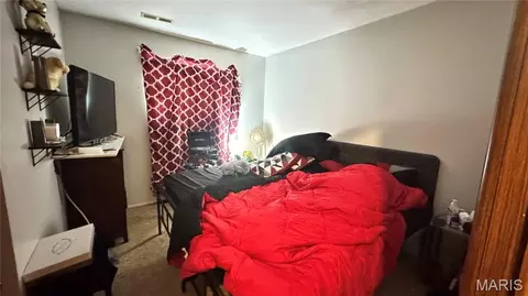 Other - 3912-3914 Wright Ave, Saint Ann, MO 63074 photo 17 of 21
