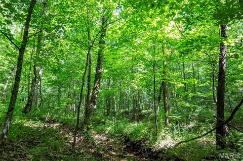 00 Mo-54, Eldon, MO 65026 photo 81