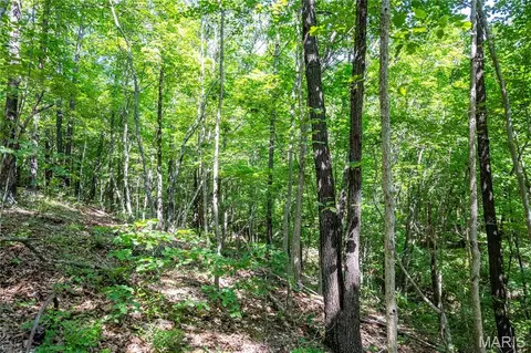 00 Mo-54, Eldon, MO 65026 photo 73
