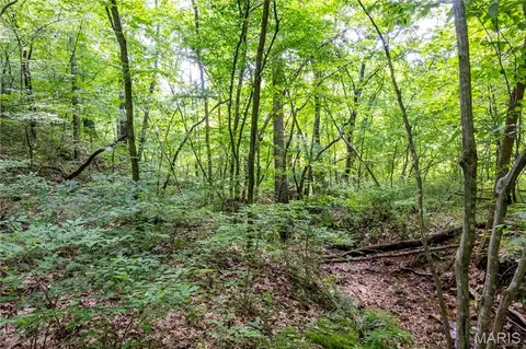 00 Mo-54, Eldon, MO 65026 photo 83