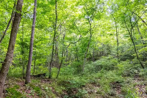 00 Mo-54, Eldon, MO 65026 photo 82