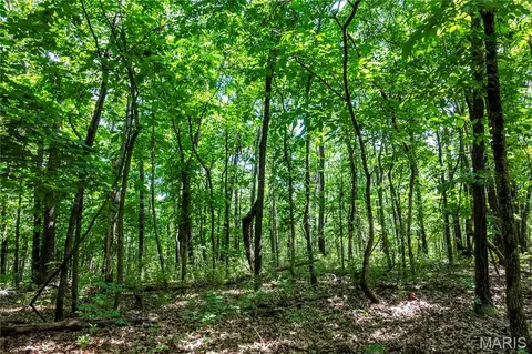 00 Mo-54, Eldon, MO 65026 photo 80