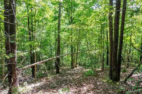 00 Mo-54, Eldon, MO 65026 photo 74