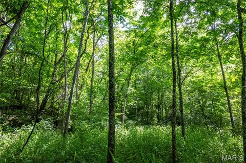00 Mo-54, Eldon, MO 65026 photo 84