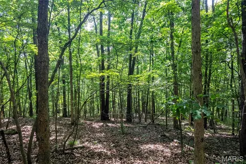 00 Mo-54, Eldon, MO 65026 photo 79