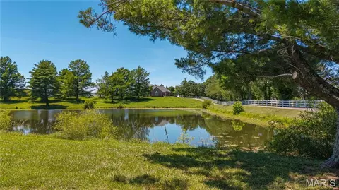 Exterior - 250 Corvette Rose Ln, Jackson, MO 63755 photo 12 of 23