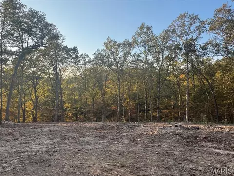 161 Steeple Point Dr, Defiance, MO 63341 photo 30