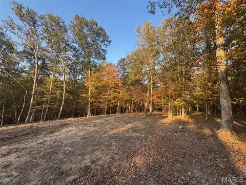 161 Steeple Point Dr, Defiance, MO 63341 photo 29