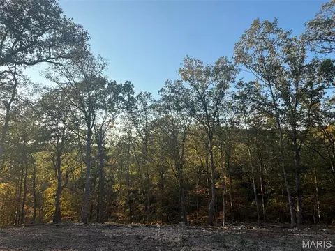 161 Steeple Point Dr, Defiance, MO 63341 photo 31