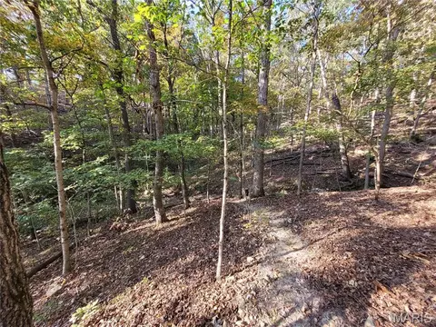 161 Steeple Point Dr, Defiance, MO 63341 photo 17