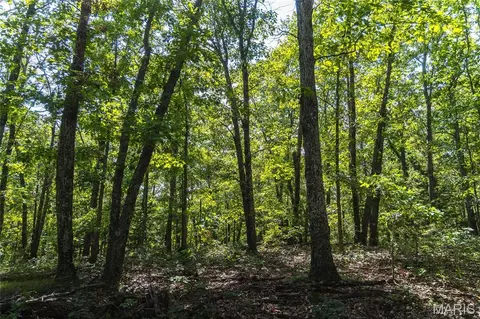 275 Oak Ridge Rd, Bourbon, MO 65441 photo 3